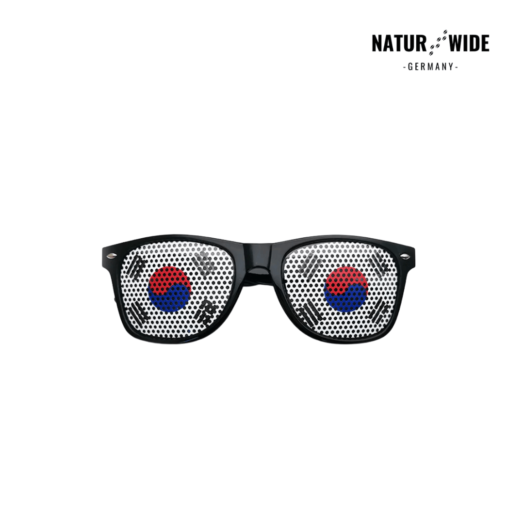 WM Flaggen-Sonnenbrille – 42 Länder Fan-Eyewear