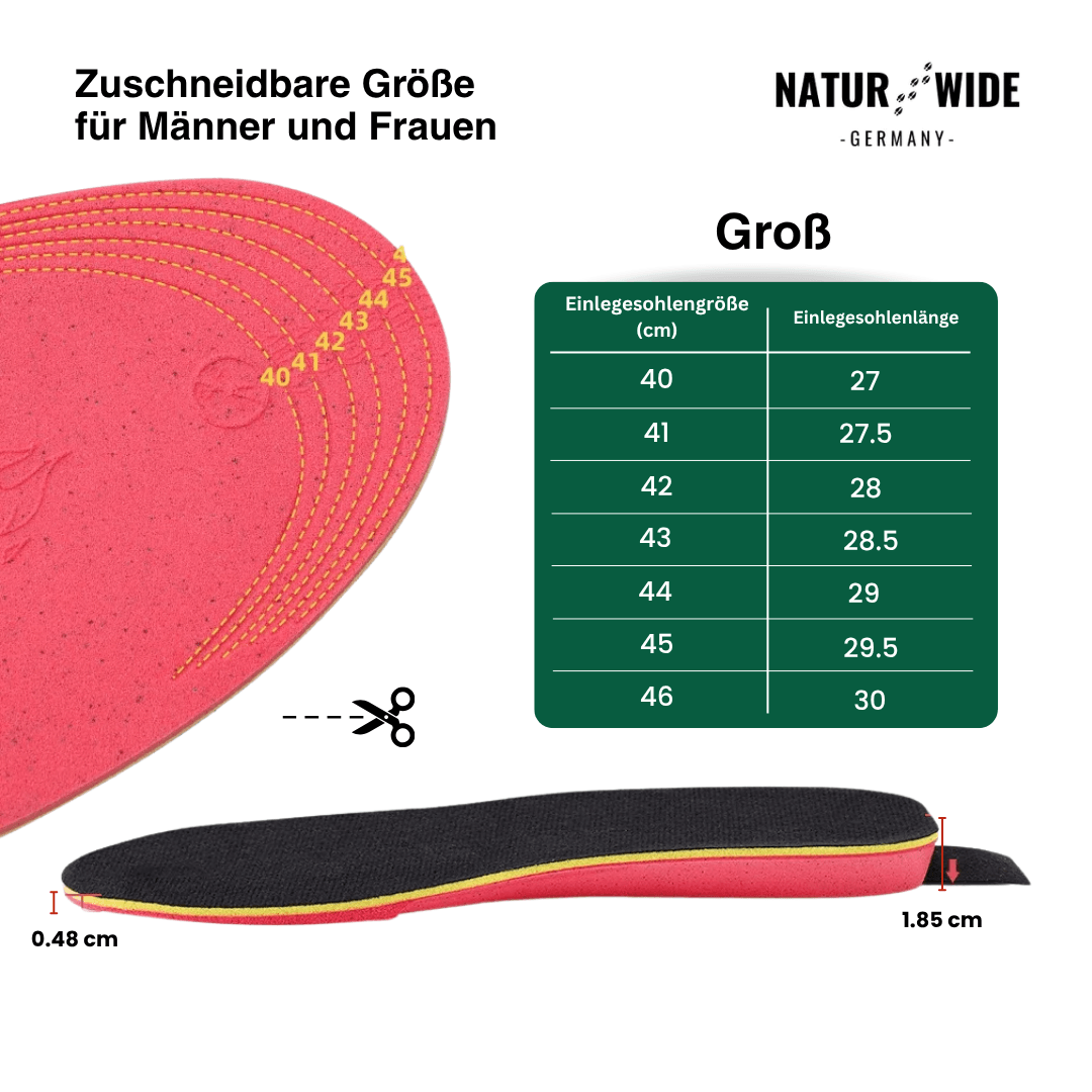 App-Gesteuerte Smarte Wiederaufladbare Beheizte Einlegesohlen