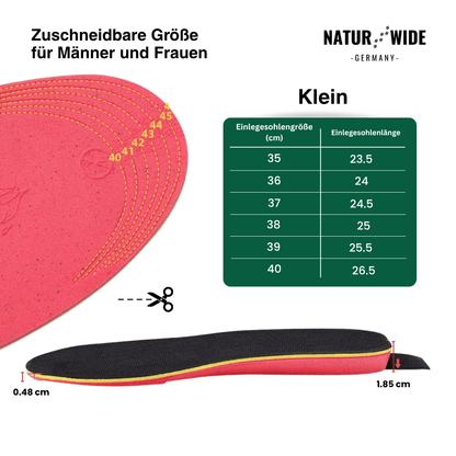 App-Gesteuerte Smarte Wiederaufladbare Beheizte Einlegesohlen