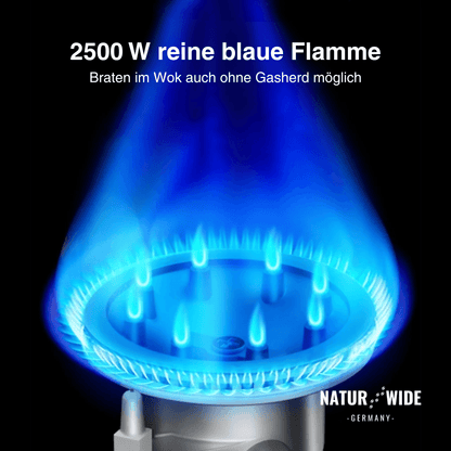 Tragbarer Gas-Campingkocher 2500W mit Auffangwanne & Topfständer