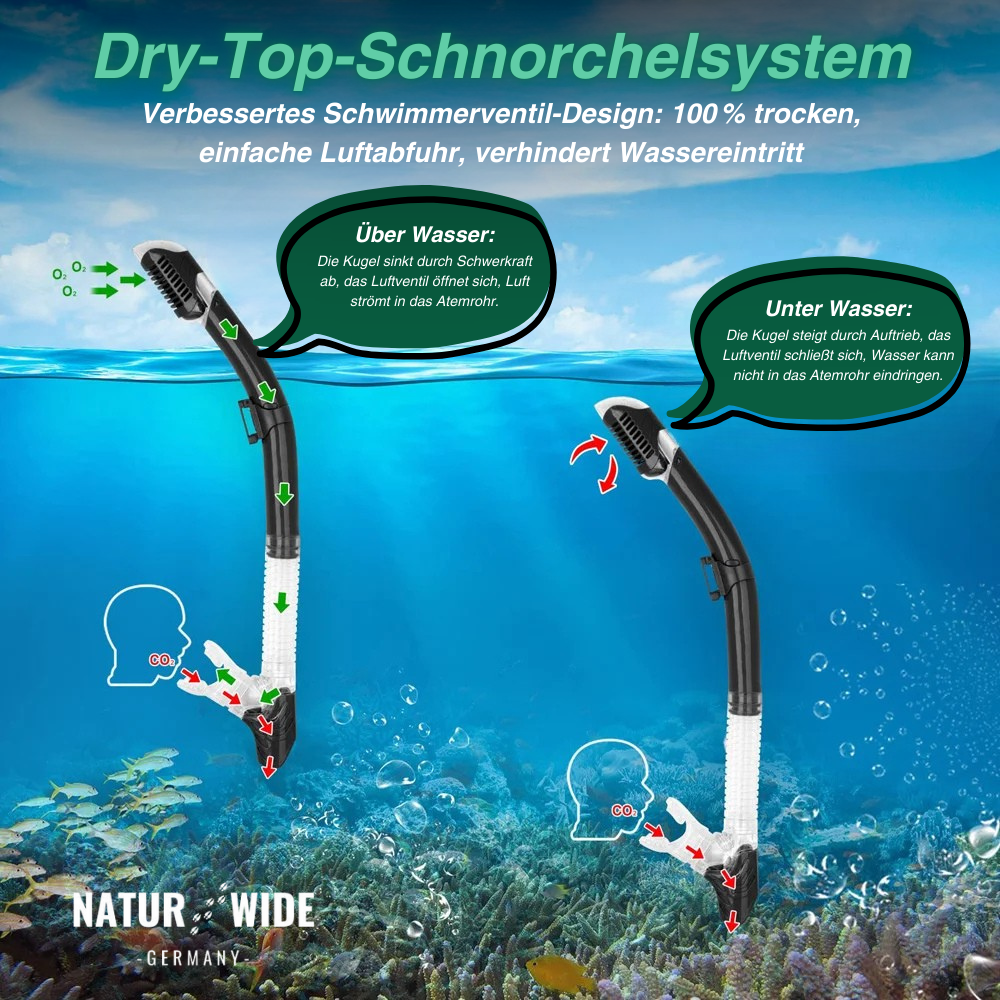 Professionelles Schnorchel-Set