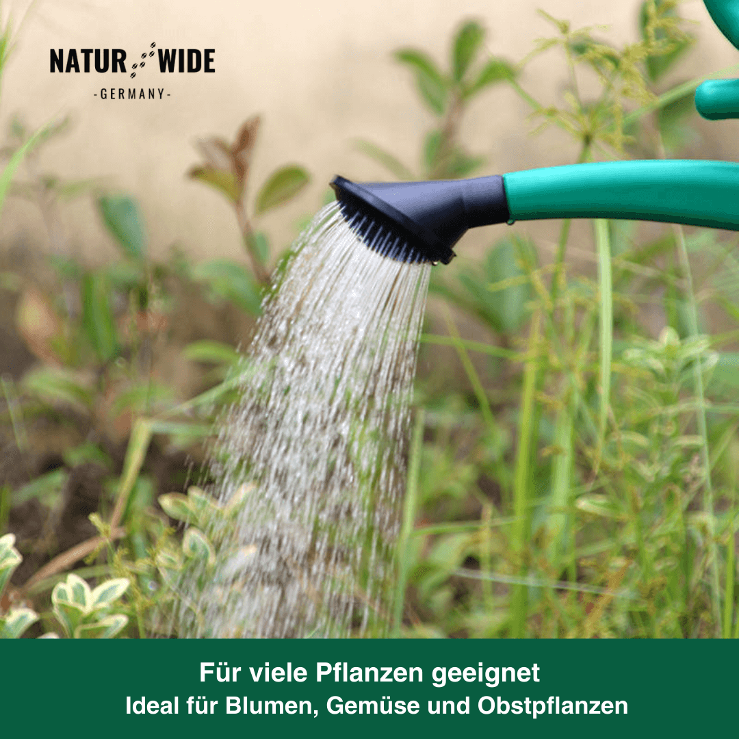 Garten-Gießkanne 5L mit Brausekopf & langem Ausguss