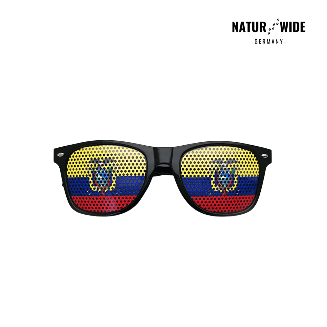 WM Flaggen-Sonnenbrille – 42 Länder Fan-Eyewear