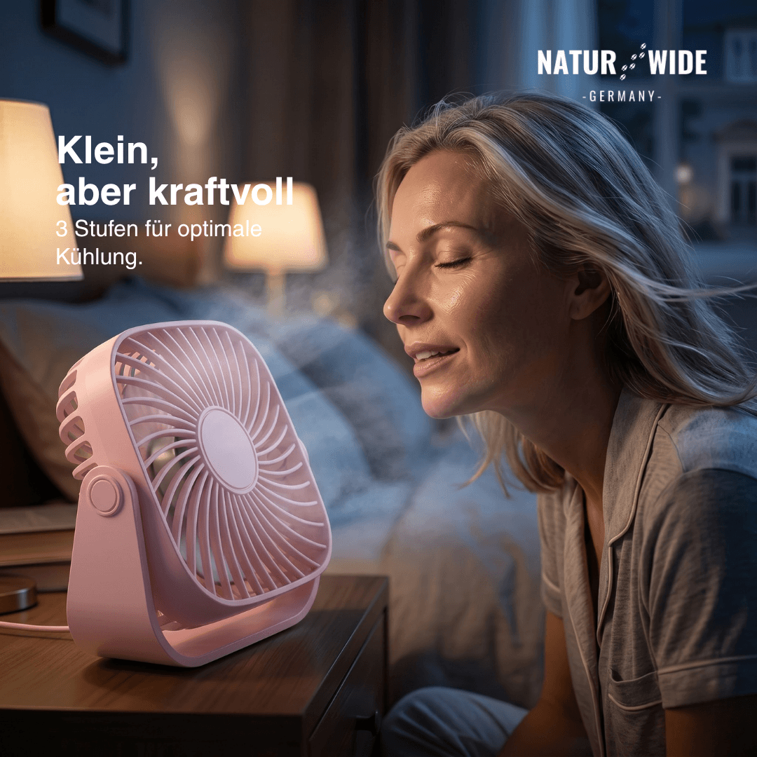 USB Mini-Tischventilator – 10 cm Tragbarer 3-Stufen 360° Ventilator
