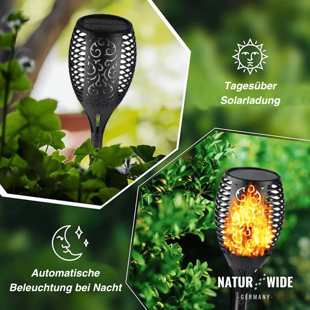 Großes Garten Bundle XXL